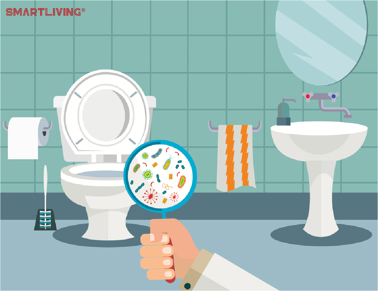 Nhà vệ sinh thường ẩm ướt và có nhiều vi khuẩn